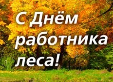 День работников леса! День работников леса!