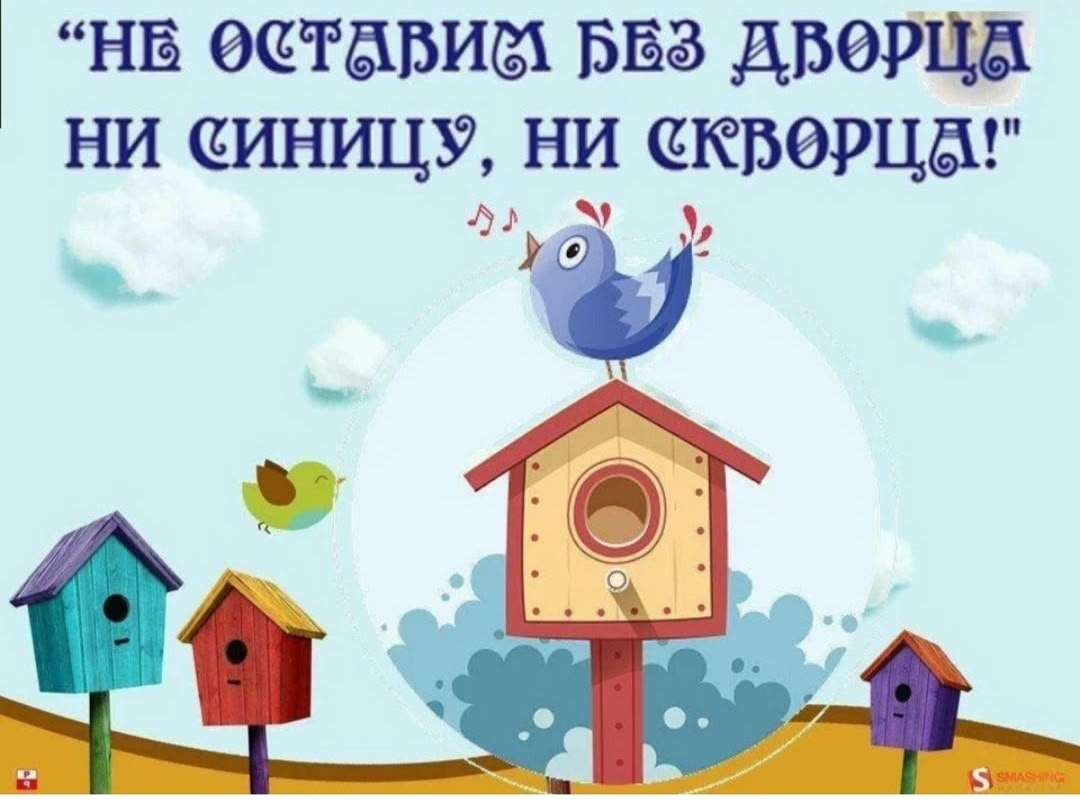 Маленькие шаги к большой экологии