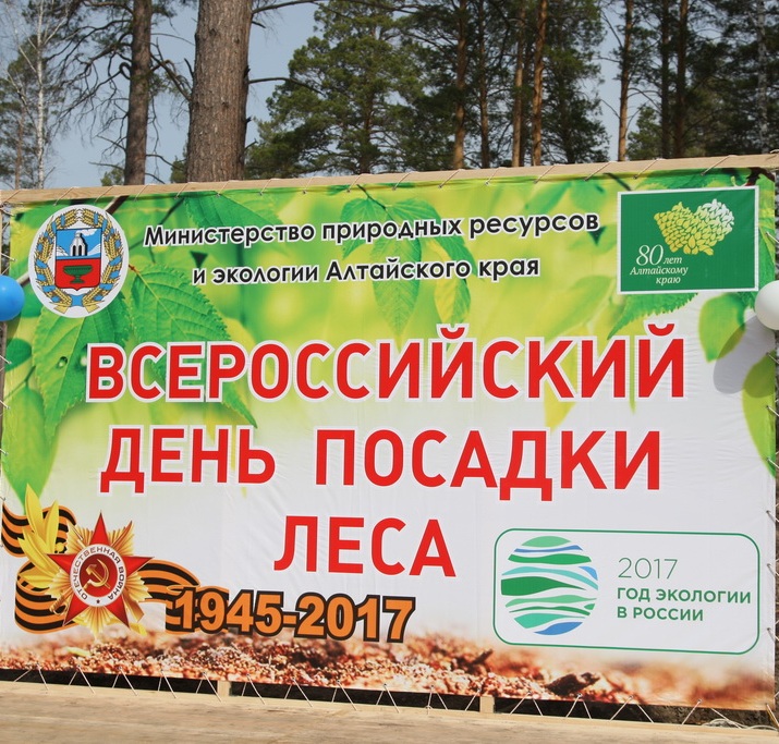 Лес Победы! Лес Победы!