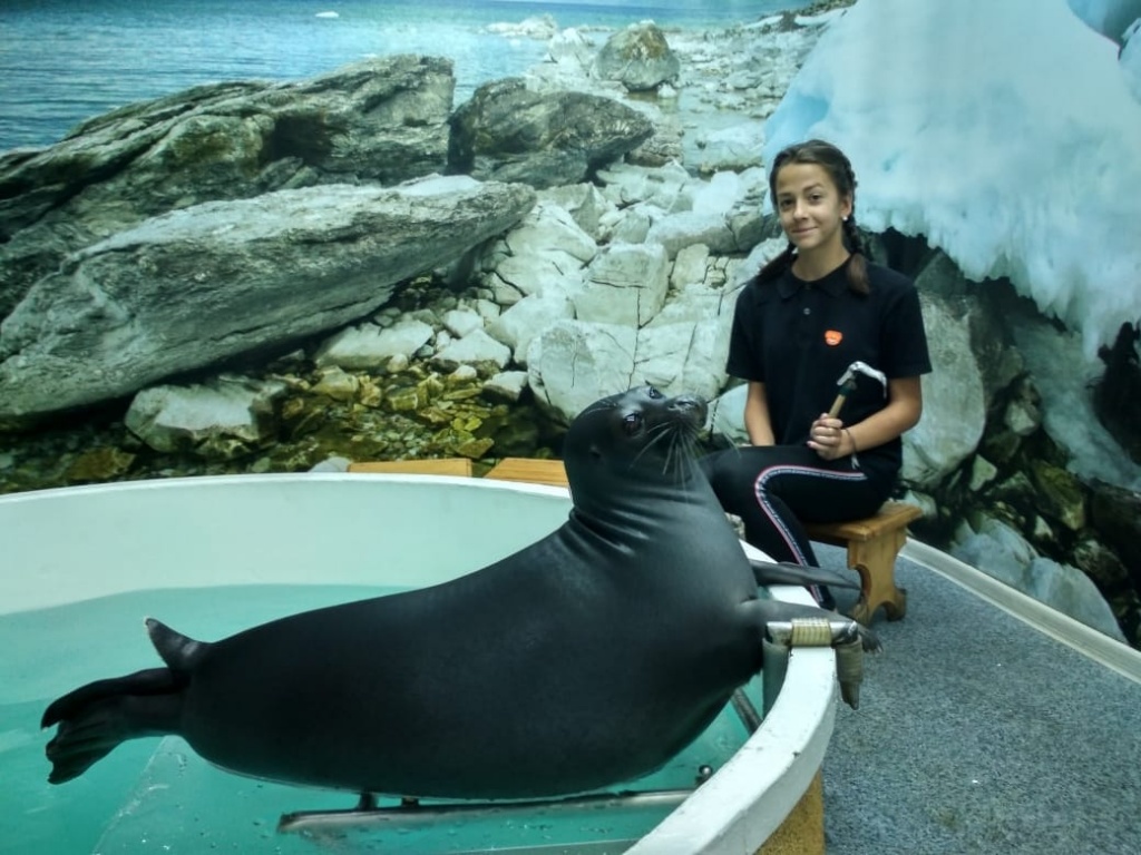 01f83e13-575b-4f2d-9d9a-41b6217f8766.jpg 01f83e13-575b-4f2d-9d9a-41b6217f8766.jpg