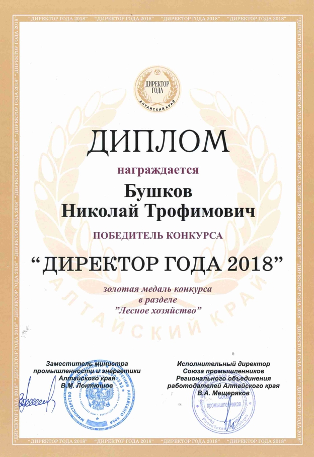 диплом директор года.jpg