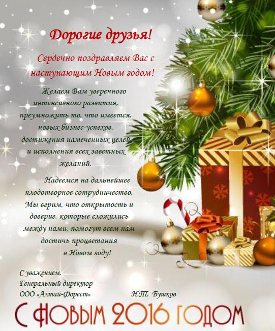 2016 НГ на сайт.JPG