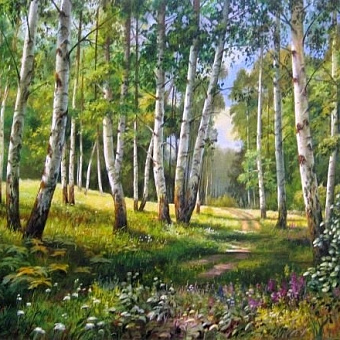 День леса 2017