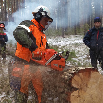 Обучение вальщиков в Алтайском крае