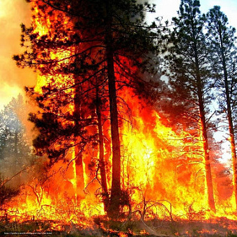 К пожароопасному сезону готовы