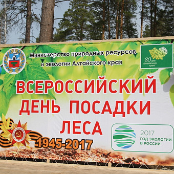 Лес Победы!