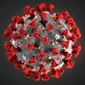 Берегите себя и своих близких!!!